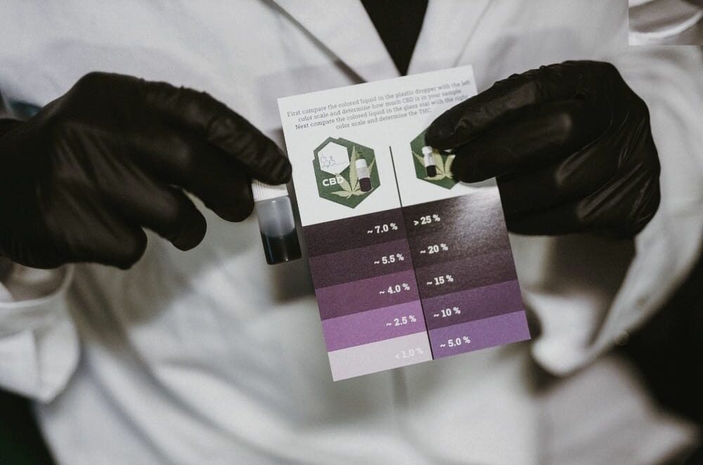 Resultatvisning fra THC/CBD QTest for analyse av THC og CBD i cannabis
